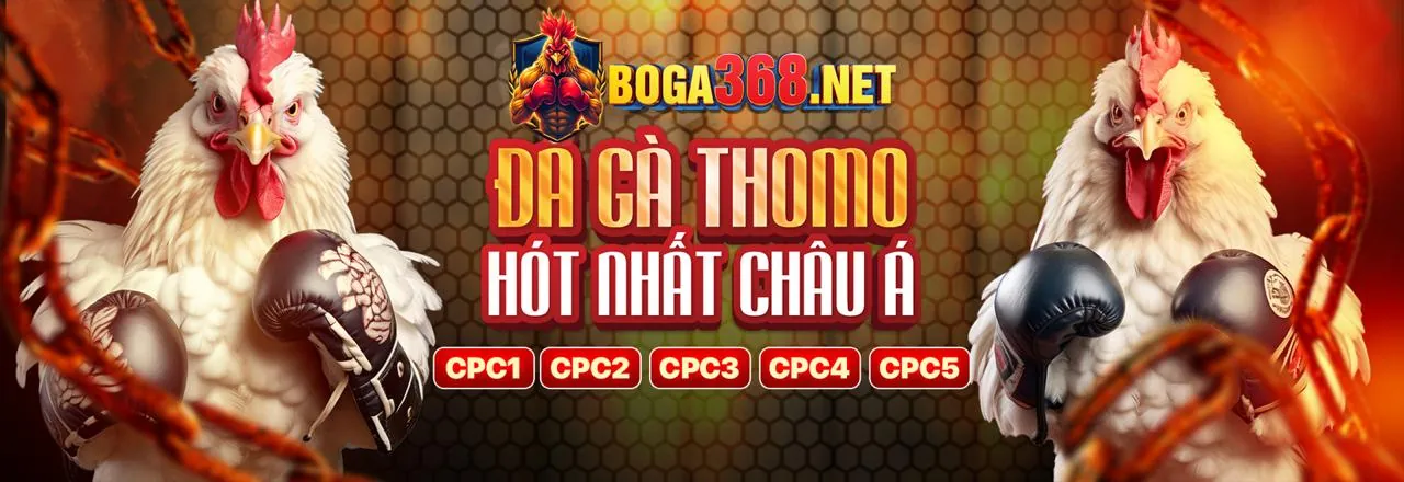 Đá gà kịch tính tại 181bet link mới