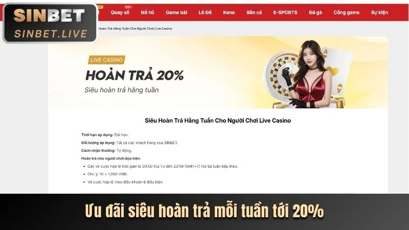 Tính năng ứng dụng 181bet